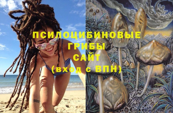дмт Богданович