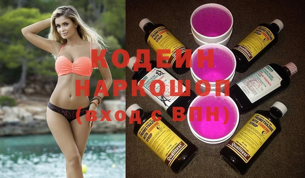 дмт Богданович