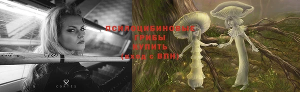 дмт Богданович