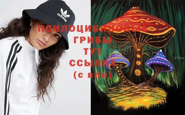 бутират Богородицк