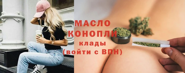 дмт Богданович