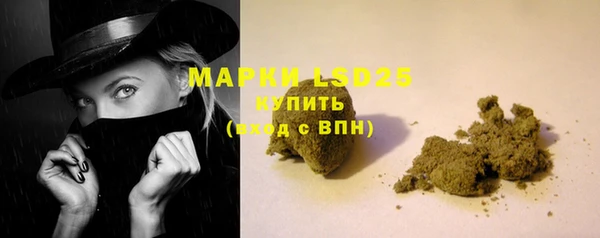 дмт Богданович