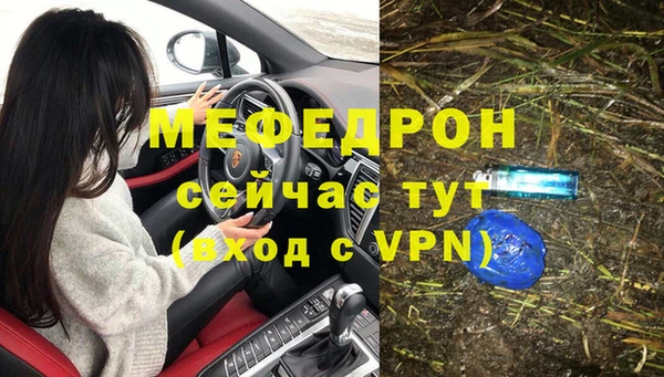 дмт Богданович