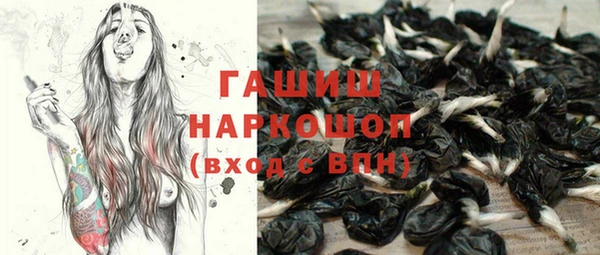 дмт Богданович