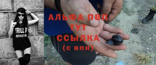 спиды Ростов
