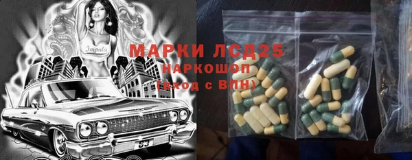 дмт Богданович
