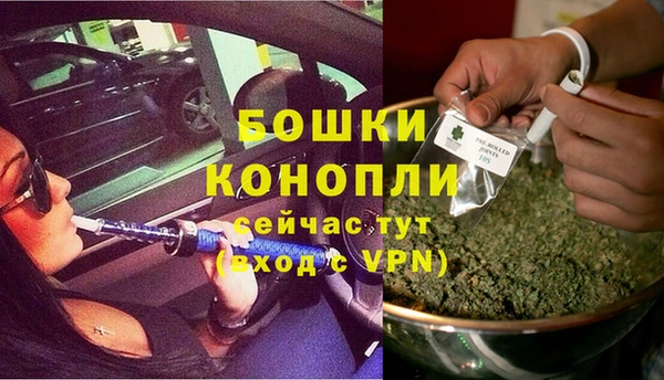 дмт Богданович