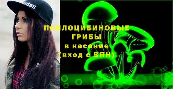 эйфоретик Богородск