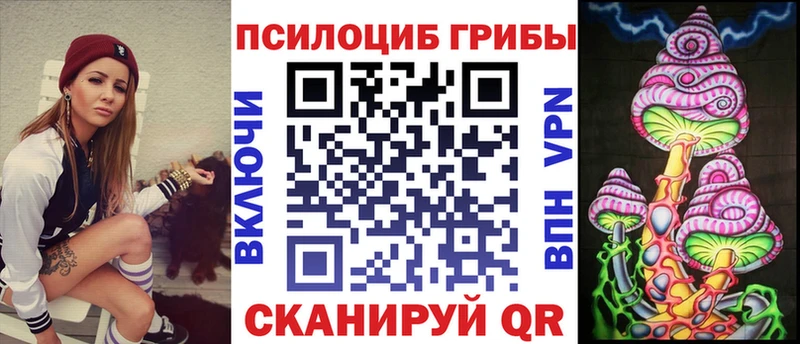 hydra   купить закладку  Биробиджан  Галлюциногенные грибы Psilocybe 